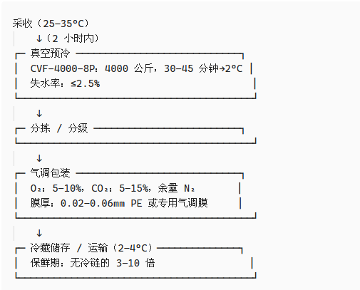 真空冷却 vs 真空包装:冷链中两者为何缺一不可
