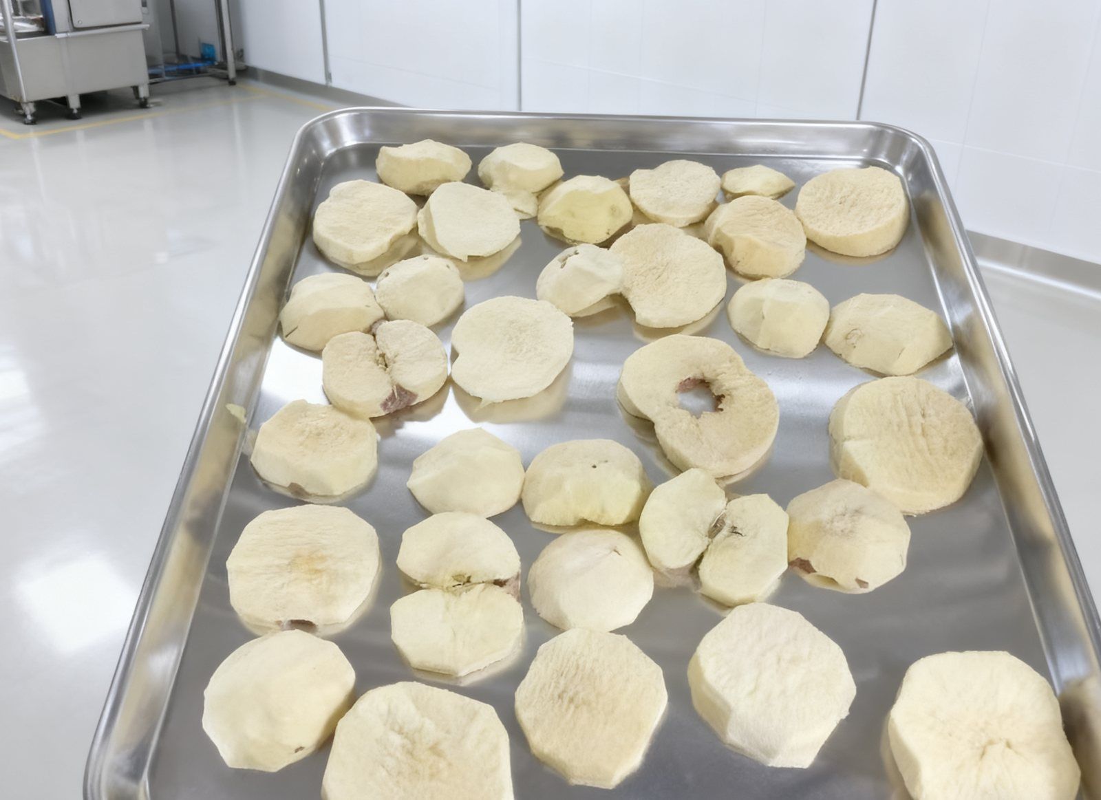 真空冻干技术在食品加工中的实际应用与经济效益分析 — 源鲜机械