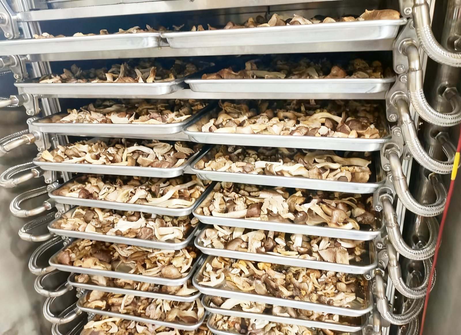 冻干质量控制5大参数——决定产品质量的关键工程指标 — 源鲜机械